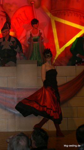 2013.01.26  Unser Kappenball 2013